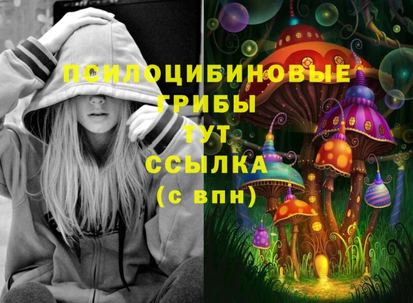 хмурый Пролетарск
