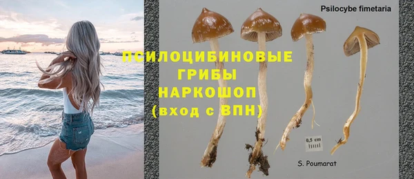 круглые Алексеевка